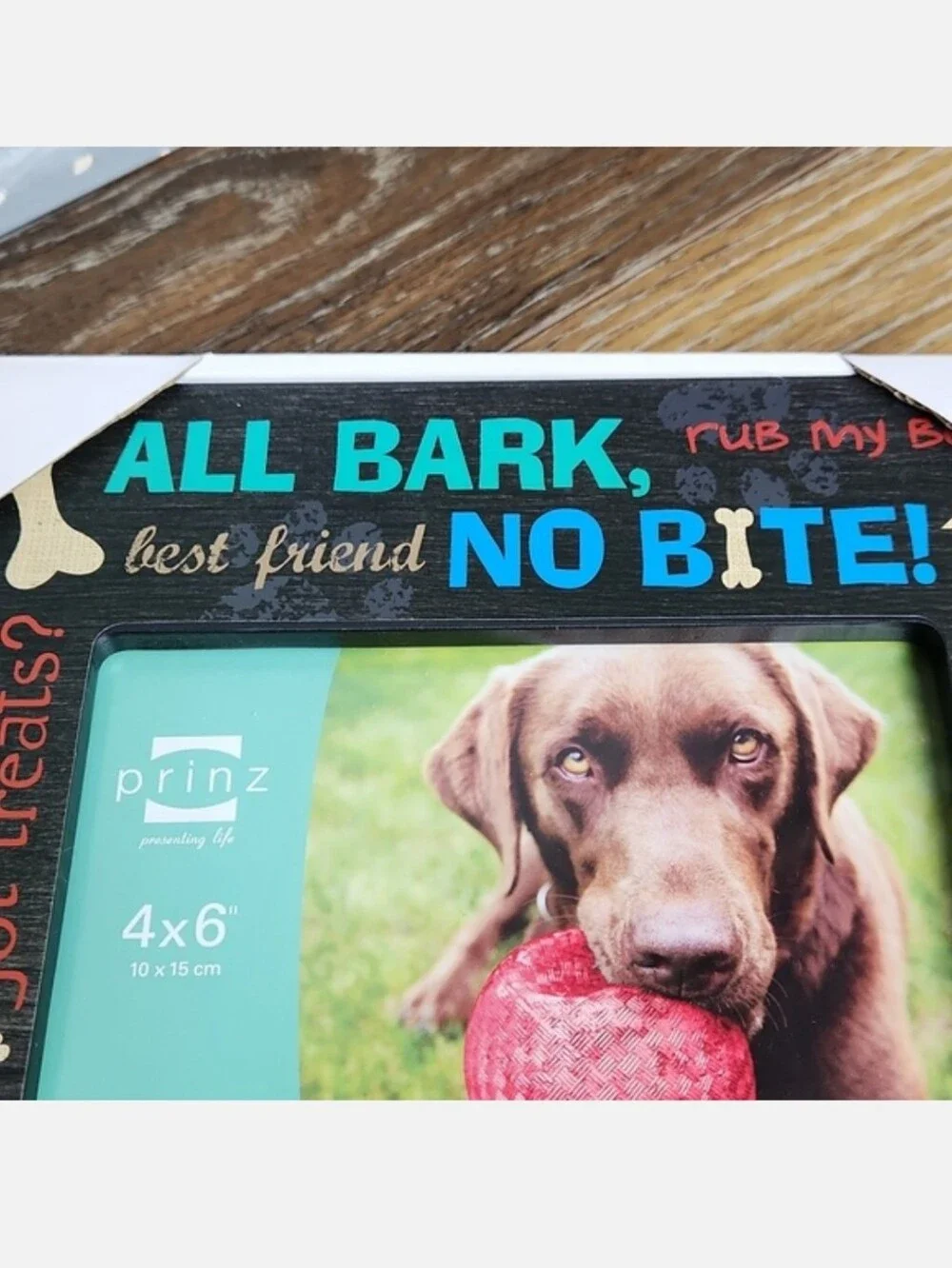 NIB Dog Photo Frame with Dog Sayings Blue Green Red Black Fire Hydrant Bone Ball